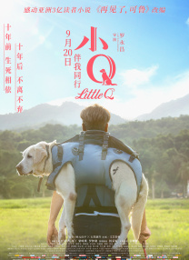河北彩花种子品种大全2023年